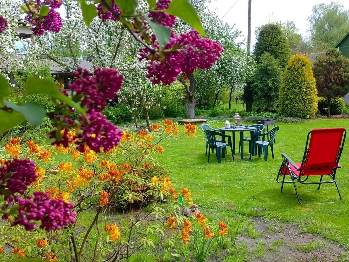 House, Garden & Sauna. Free Parking. Train Stop-200 M. Sea-1 Km. Jurmala Exterior photo