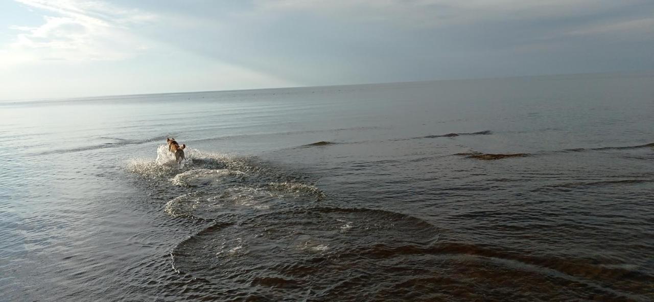 House, Garden & Sauna. Free Parking. Train Stop-200 M. Sea-1 Km. Jurmala Exterior photo